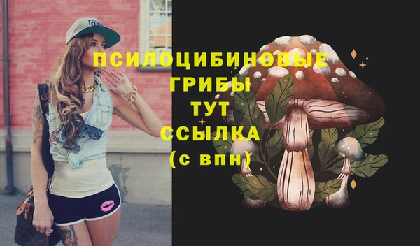 метамфетамин Карпинск