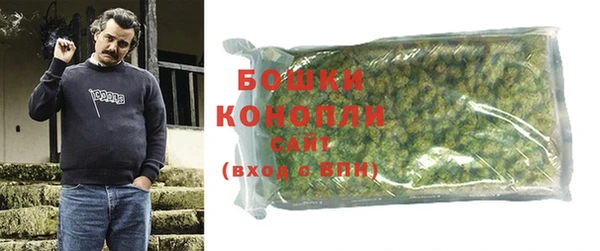 прущие грибы Касимов