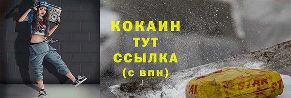 прущие грибы Касимов