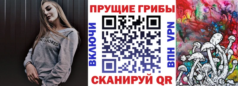 магазин    Покровск  Псилоцибиновые грибы ЛСД 